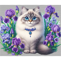 Animal Integration-DW 1936